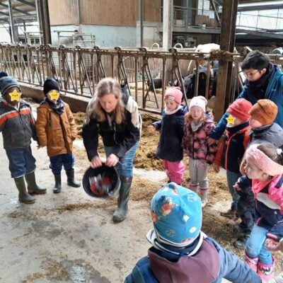 MGG - Besuch auf dem Bauernhof - 3.Kindergarten